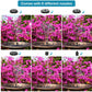 Splashgud™ Solar Fountain Pump